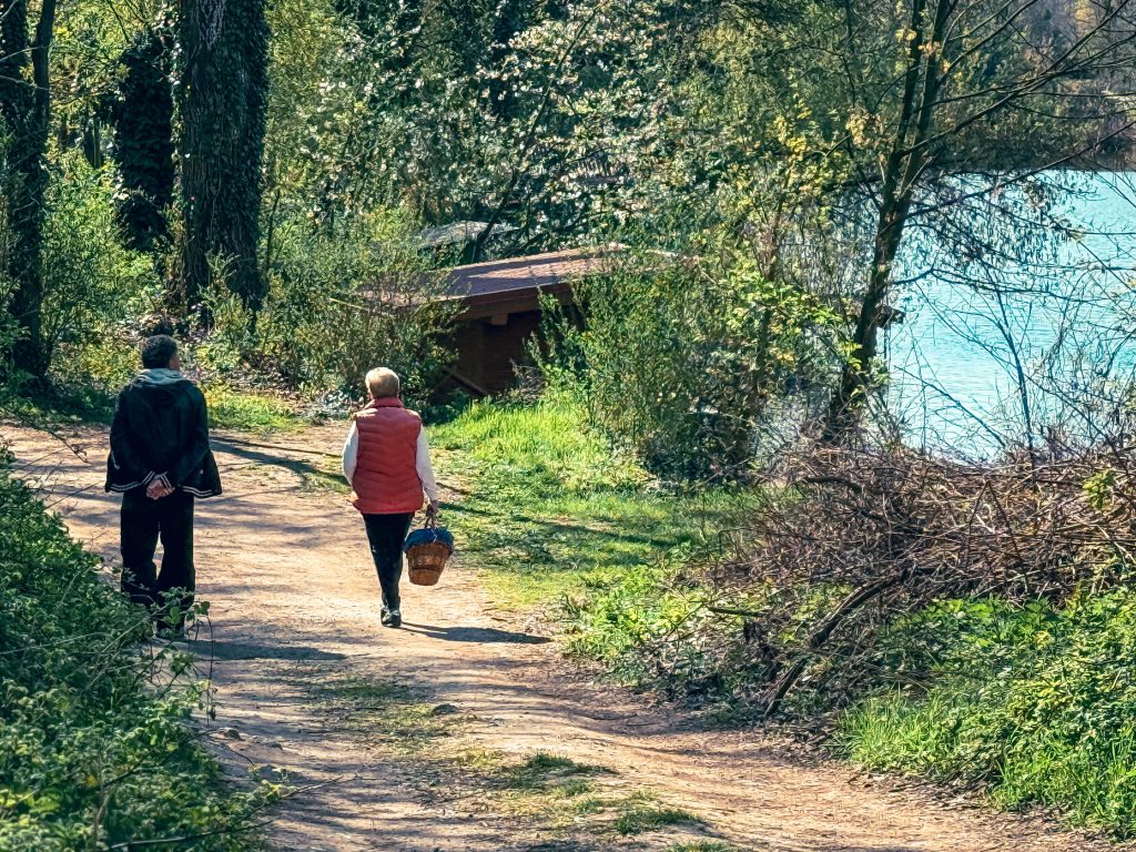 Fotó a(z) A Platz piac portréjához