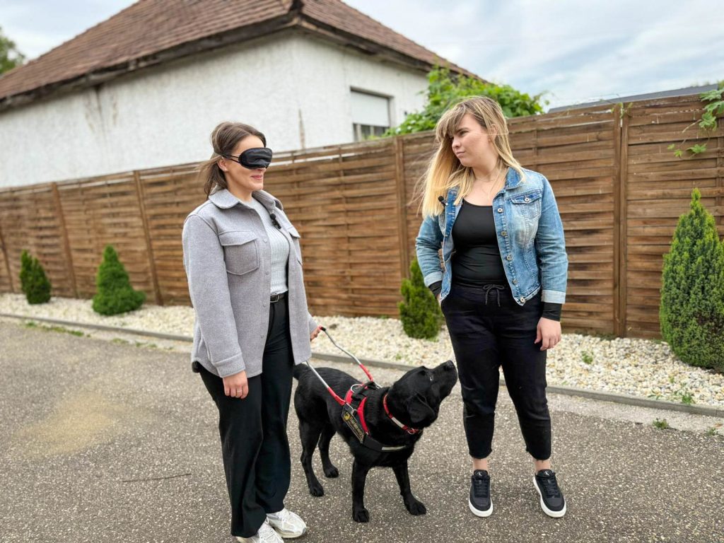 Fotó a(z) Baráthegyi Vakvezető Kutya Iskola portréjához